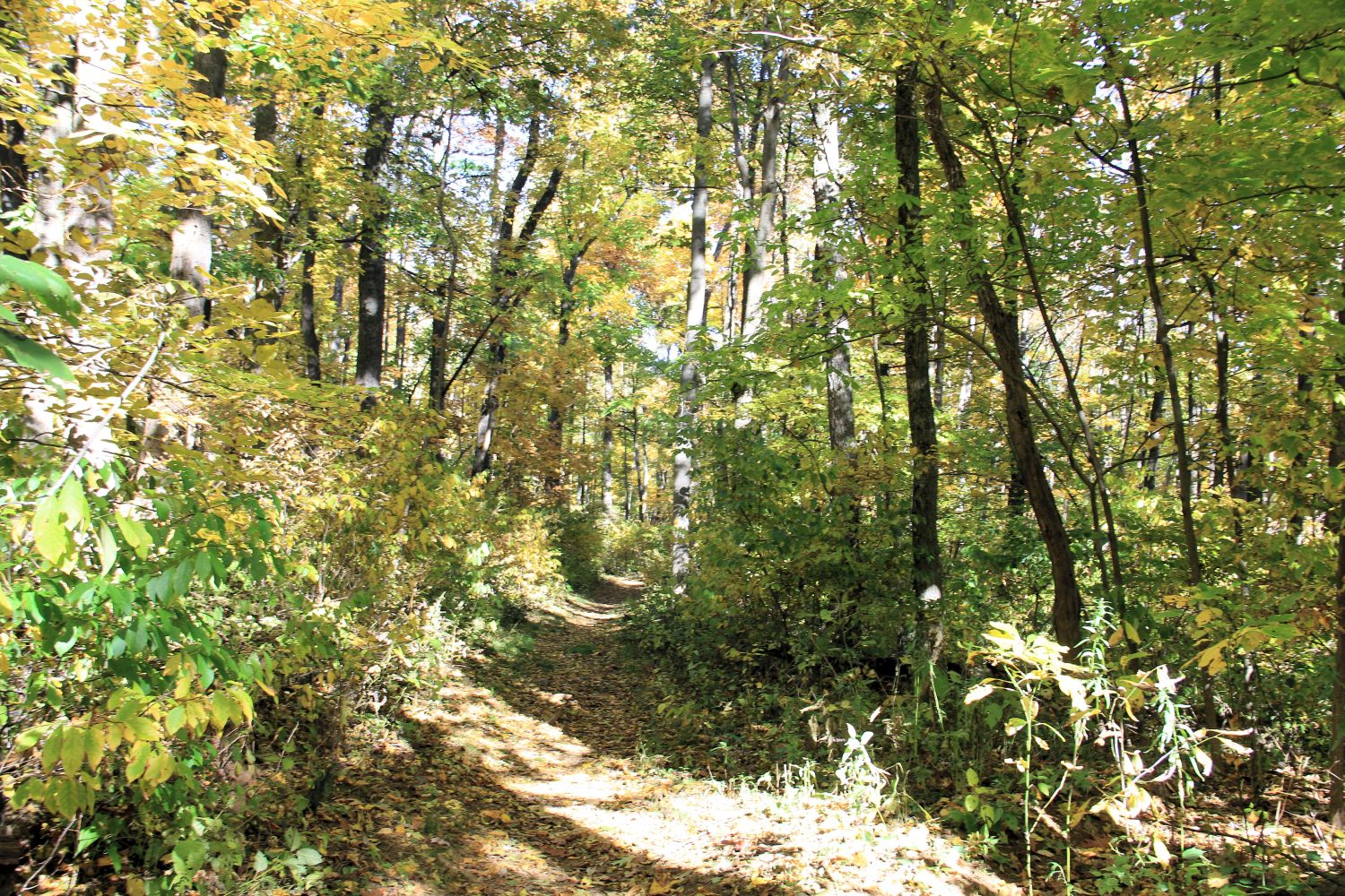 Appalachian Trail 